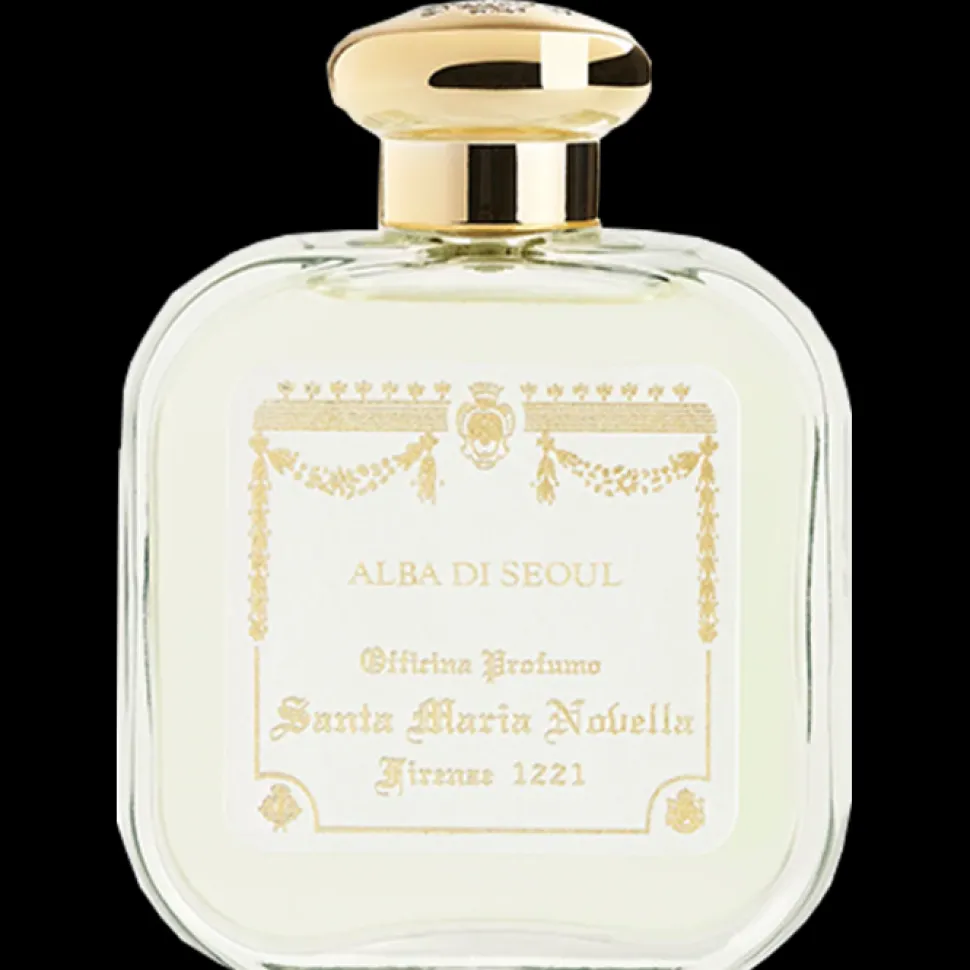 Homme Santa Maria Novella Fougère|Homme*Alba di Seoul