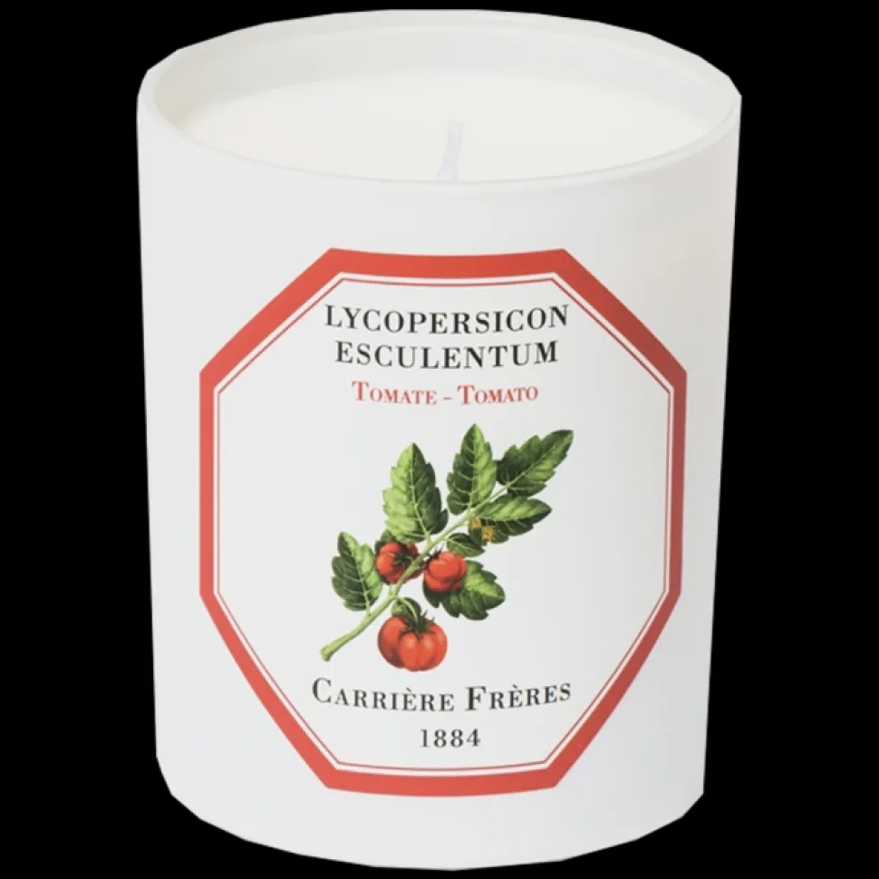 Carrière Frères Printemps|Boisé*Bougie Parfumée Tomate – Lycopersicon Esculentum