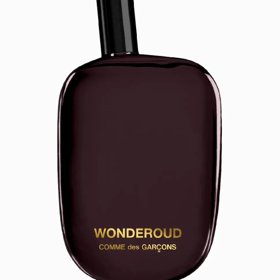 Homme Comme des Garçons Automne|Boisé*Wonderoud